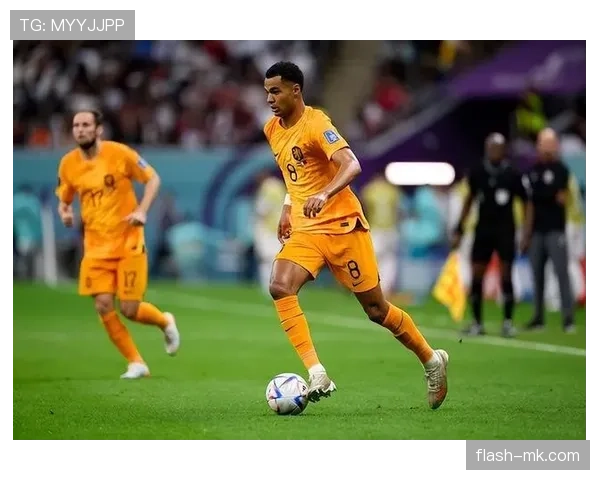 加克波状态持续攀升，闪耀赛场展现新星潜质